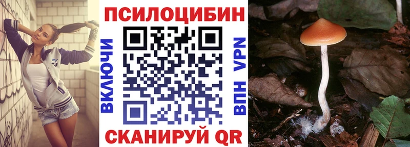 купить наркоту  Морозовск  ОМГ ОМГ ONION  Псилоцибиновые грибы GOLDEN TEACHER 
