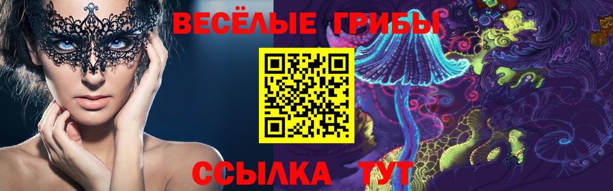 где продают   Псилоцибиновые грибы Psilocybe  Морозовск  Вход с VPN  Псилоцибиновые грибы прущие грибы 