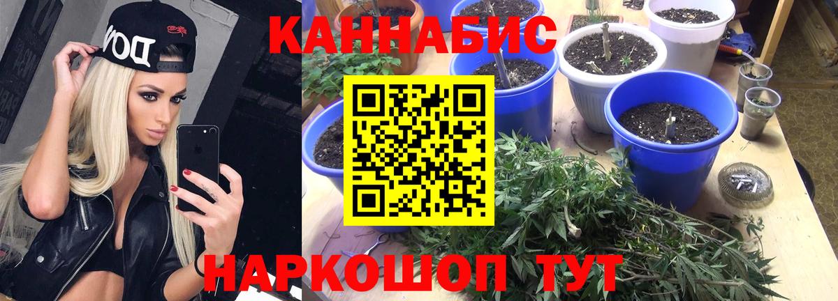 Бошки Шишки LSD WEED  Вход с VPN  Шишки марихуана планчик  Морозовск  Марихуана ГИДРОПОН 